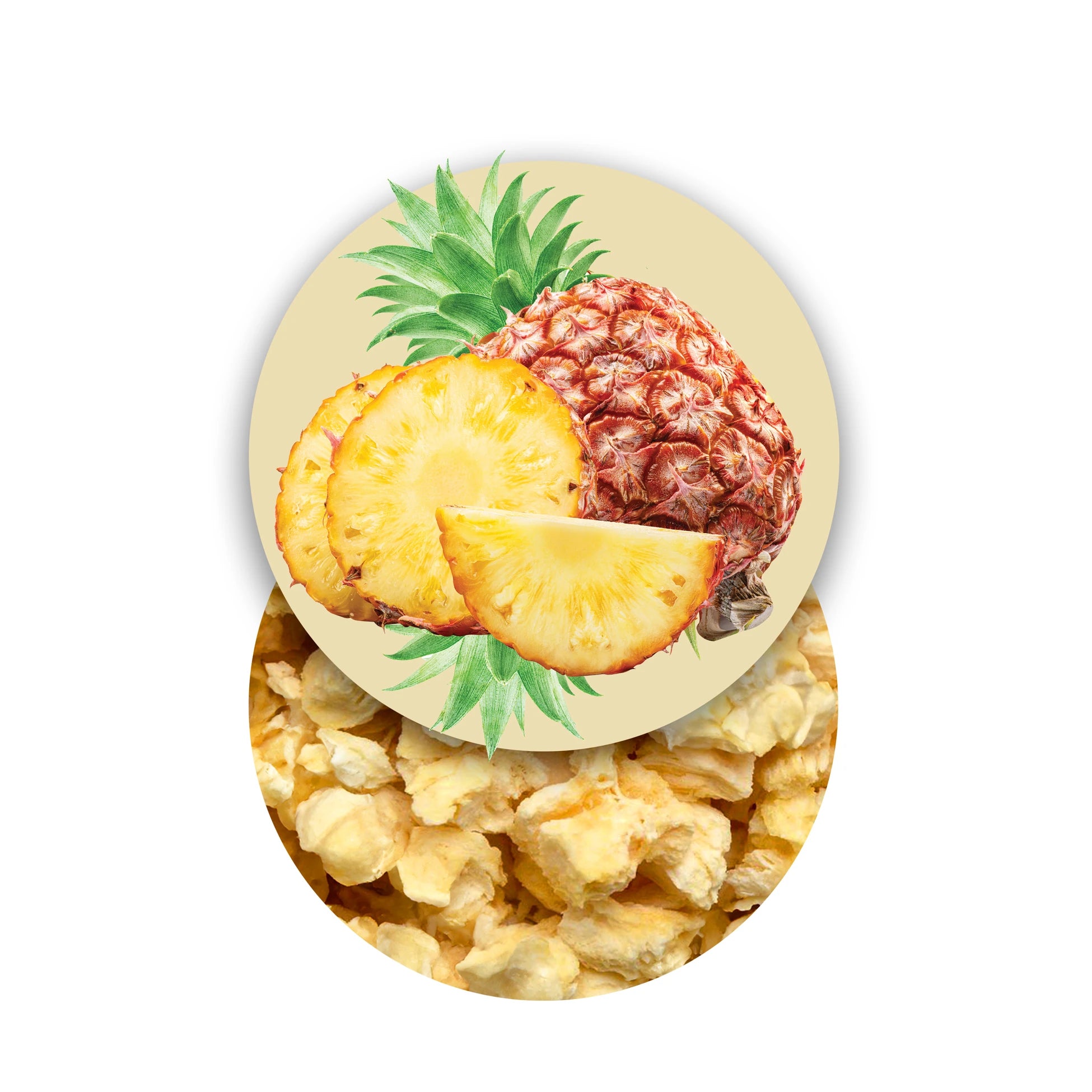 Freeze-Dried Pineapple Slices, Freeze-Dried Fruits