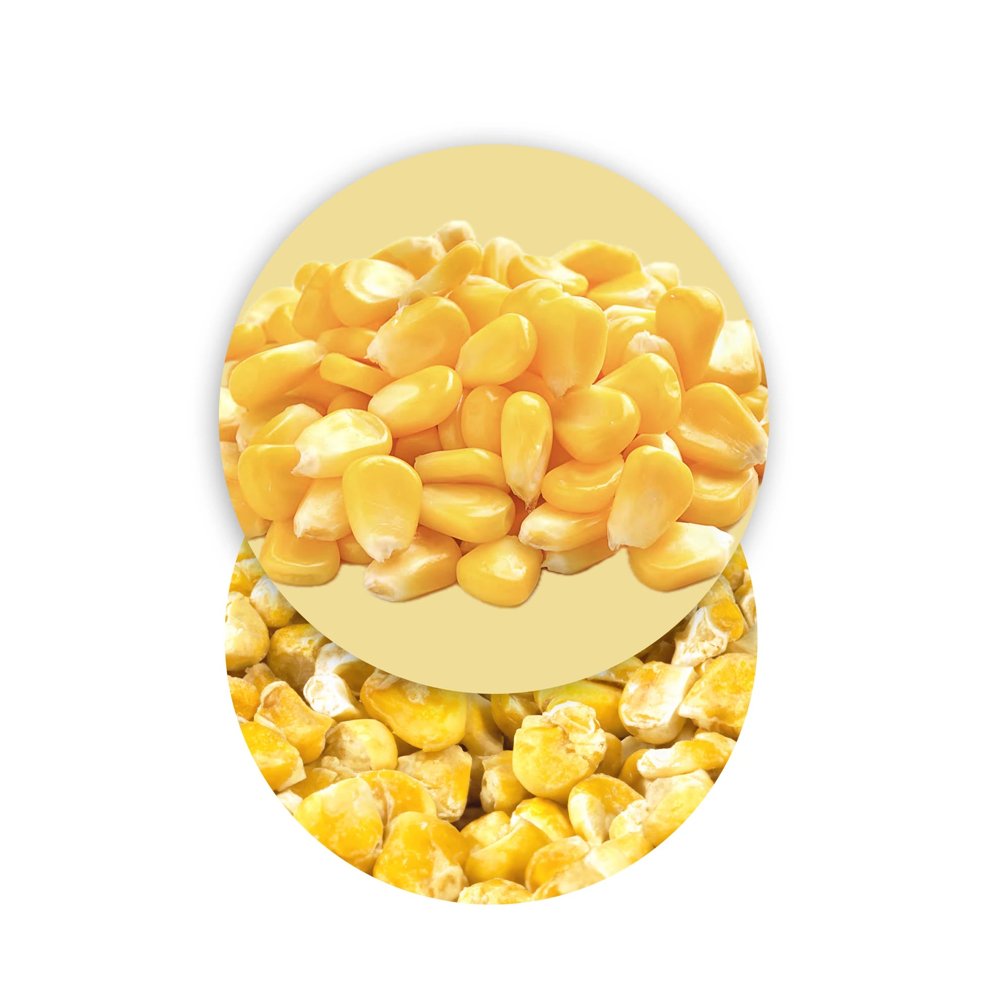 Freeze-Dried Corn Kernels Freeze-Dried Fruits