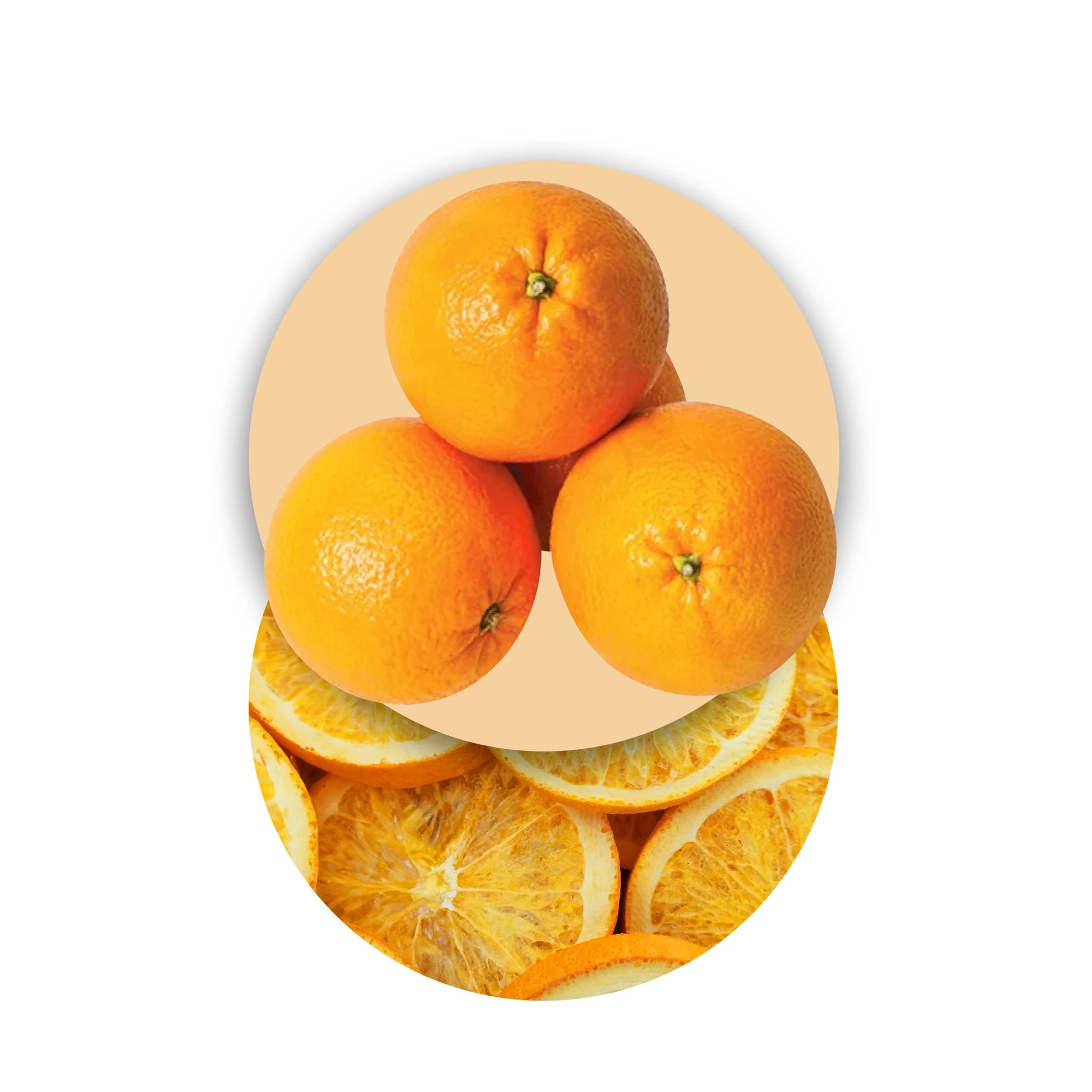 Freeze-Dried Orange Slices, Freeze-Dried Fruits