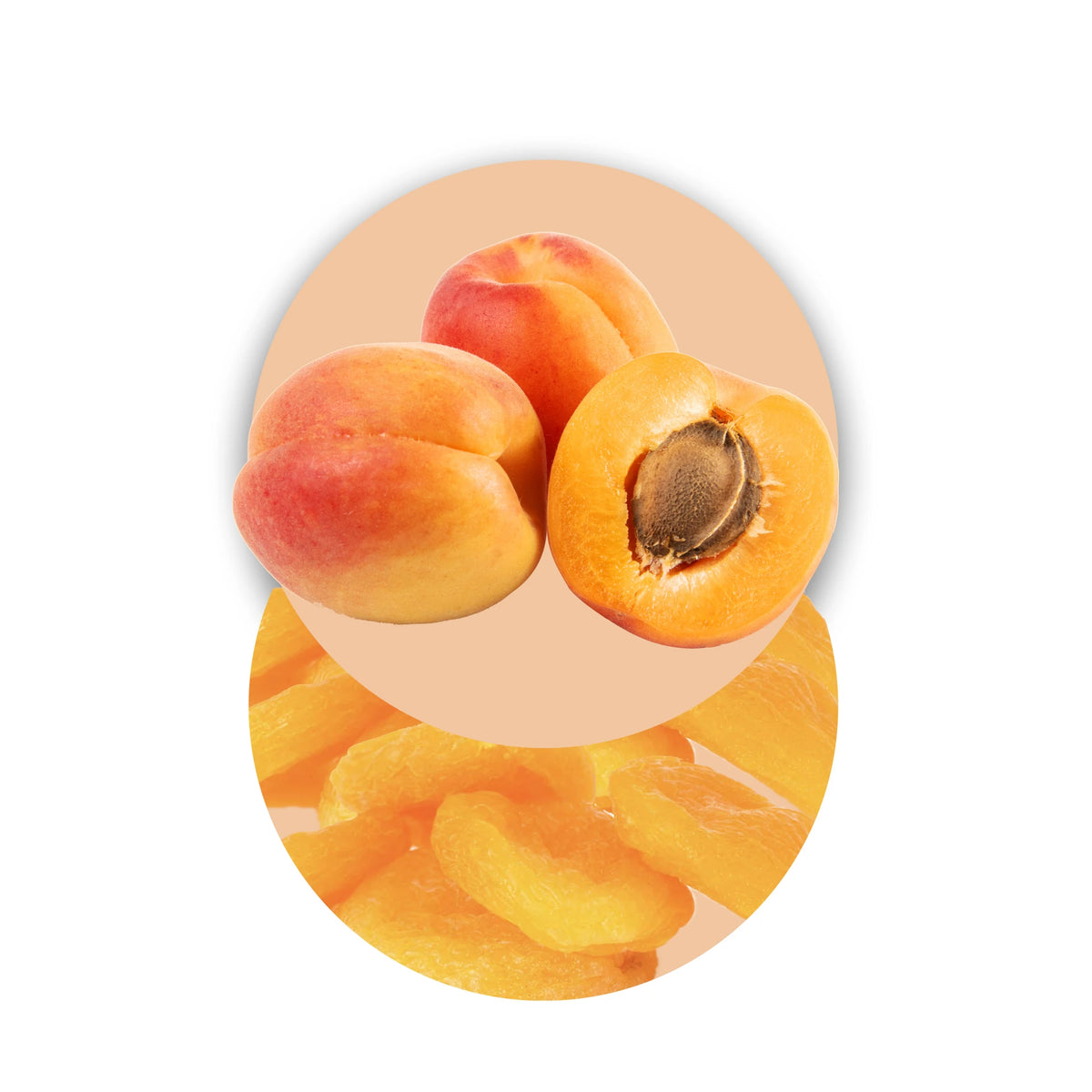 Rodajas de albaricoque liofilizadas, frutas liofilizadas