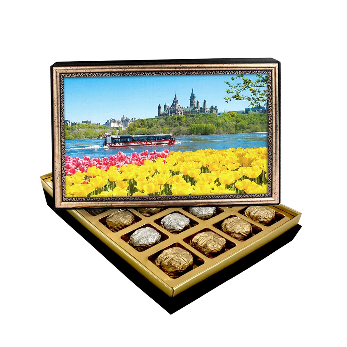 Ottowa Parliament Building Canvas Print Chocolate