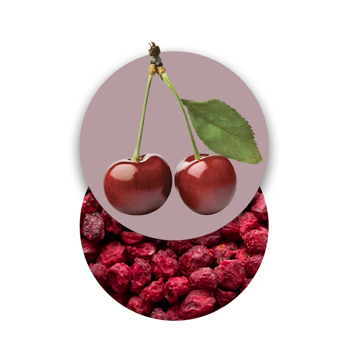 Rodajas de cereza liofilizadas, frutas liofilizadas