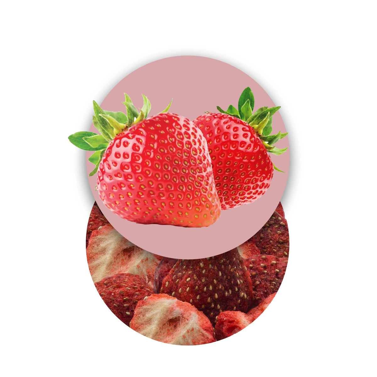 Rodajas de fresa liofilizadas, frutas liofilizadas