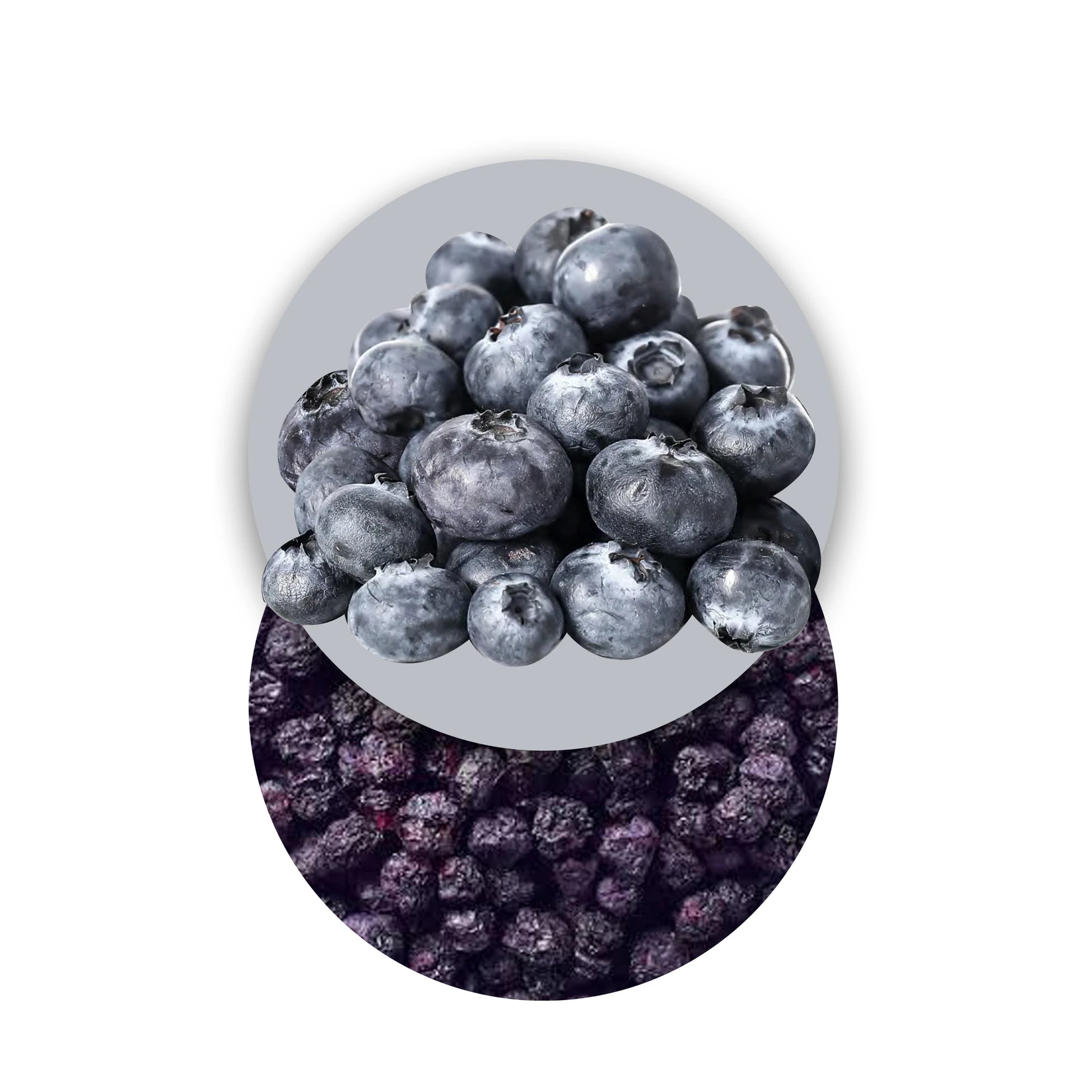Freeze-Dried Blueberries, Freeze-Dried Fruits