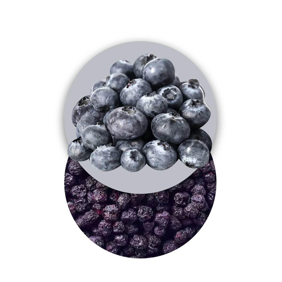 Arándanos liofilizados, frutas liofilizadas