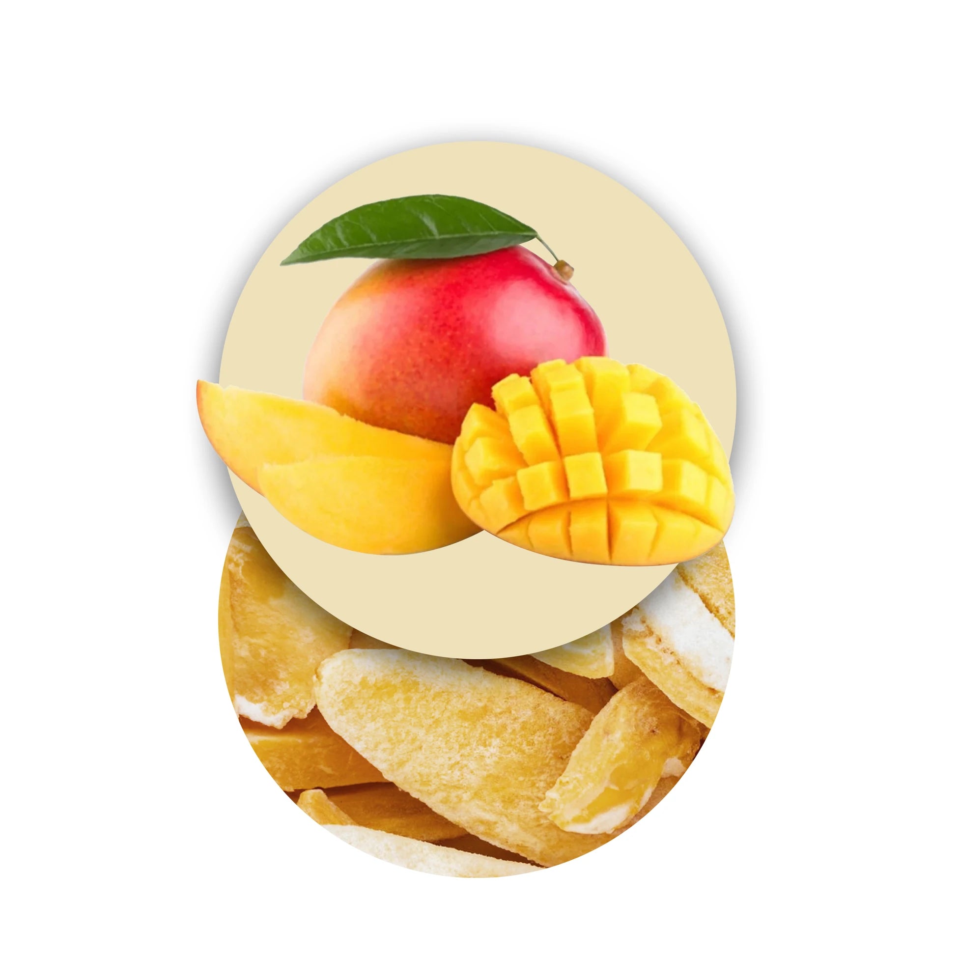 Freeze-Dried Mango Fruits