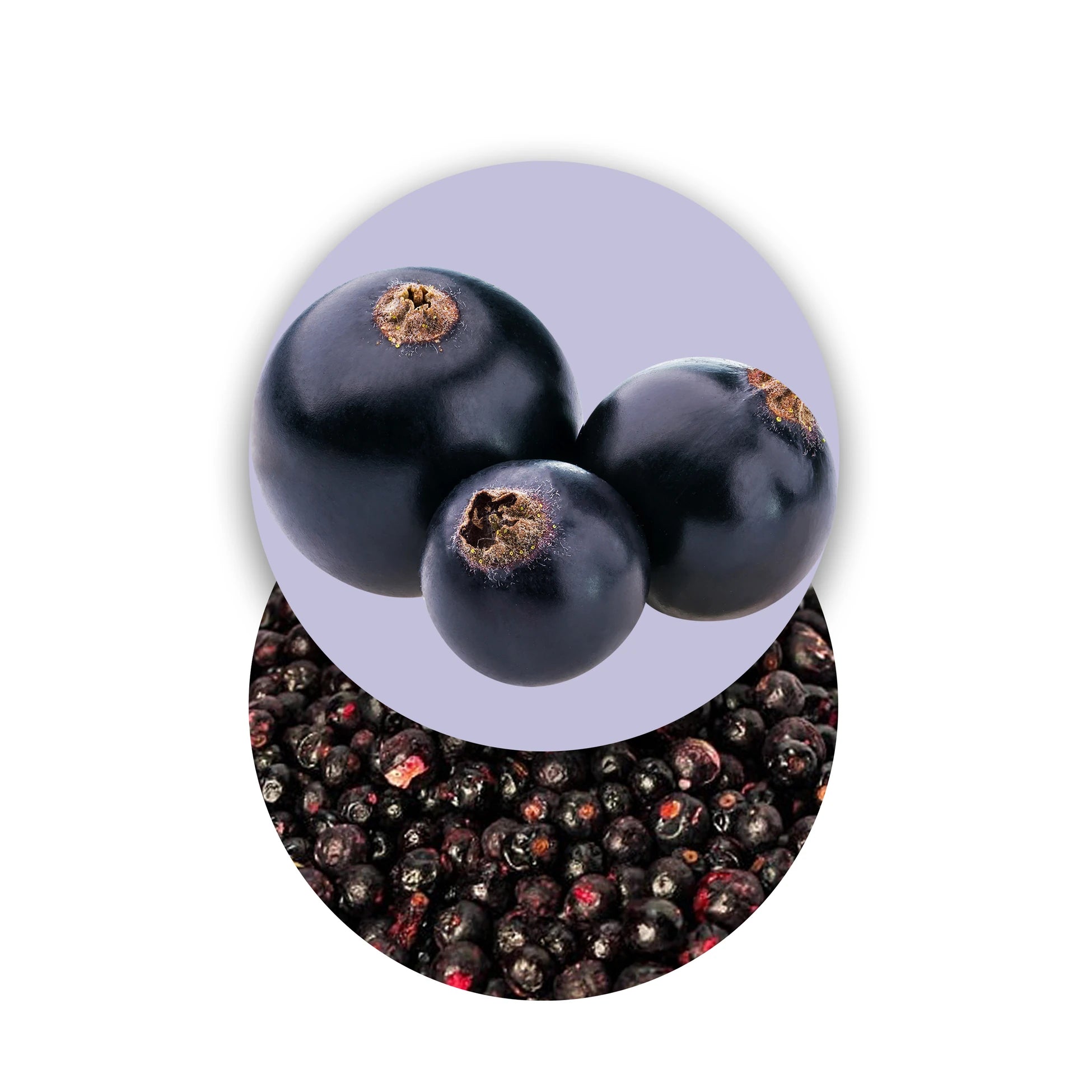 Freeze-Dried Currants Freeze-Dried Fruits