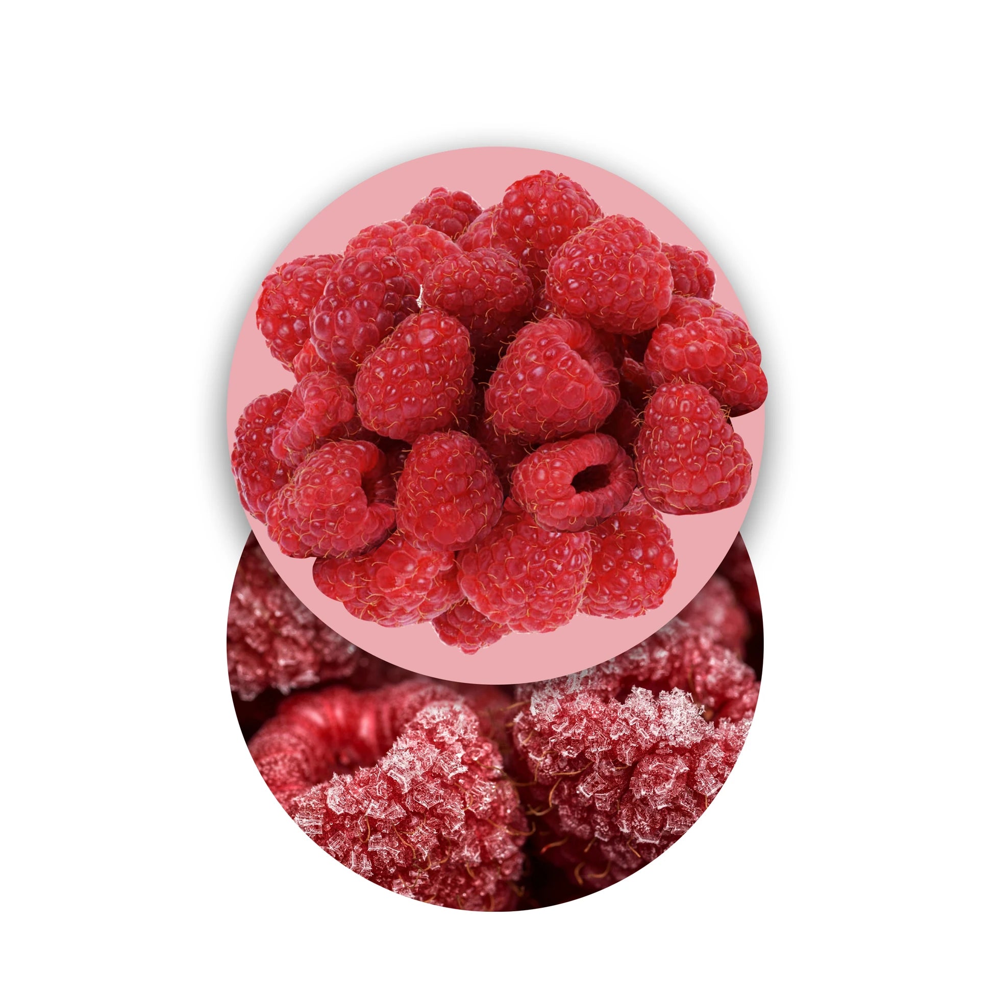 Freeze-Dried Whole Raspberries Freeze-Dried Fruits